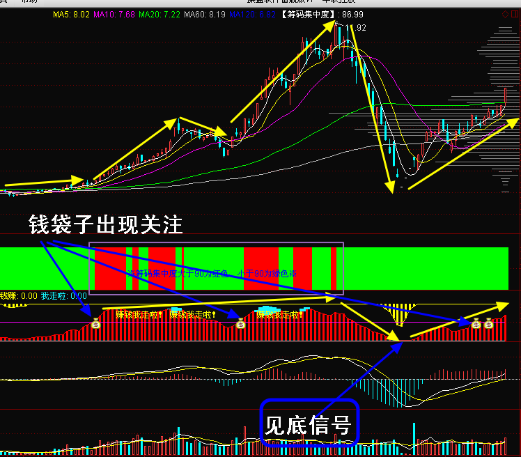 医疗保险与社会保险：全面解析与实用指南